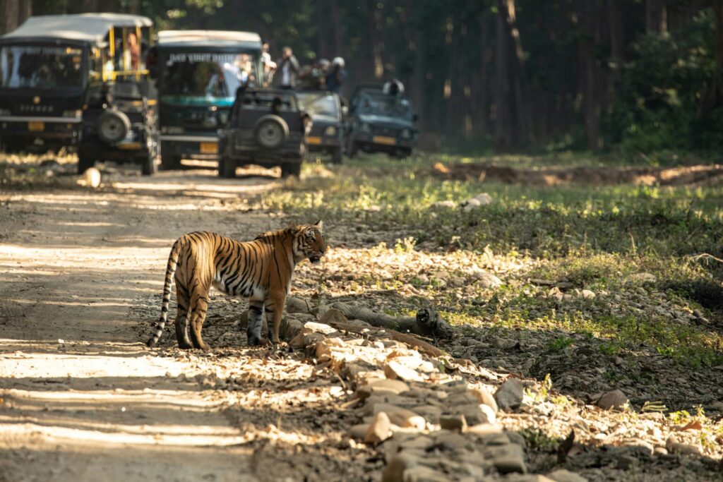 Jim Corbett (Private Car)