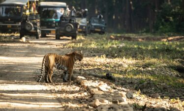 Jim Corbett (Private Car)