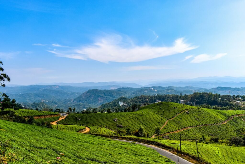 Kerala-Munnar/Allepey /Thekde/Kovalam /Trivandrum /Kanyakumari