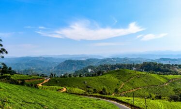 Kerala-Munnar/Allepey /Thekde/Kovalam /Trivandrum /Kanyakumari