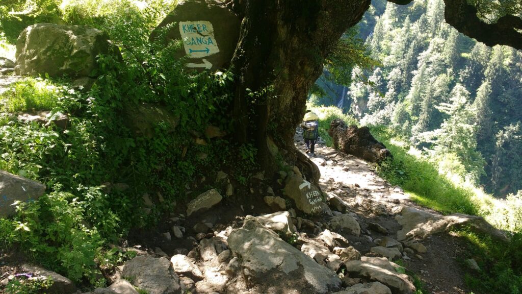 Kheerganga-Kasol (Sharing Vehicle-Group)