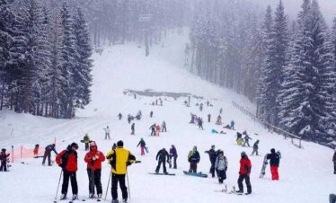 Shimla Tour (Luxury Bus)