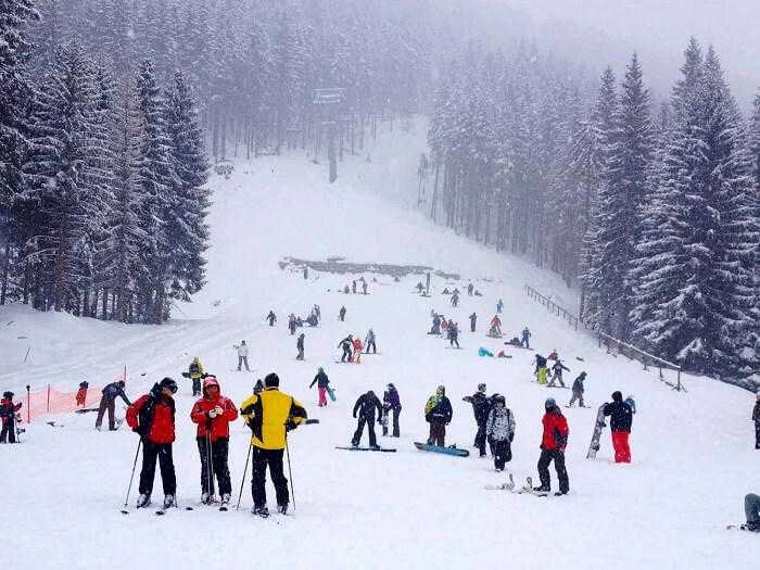 Shimla Tour (Luxury Bus)